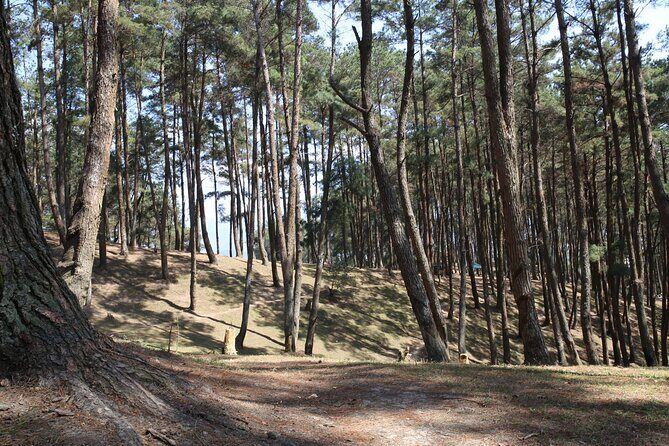 Ha Giang Loop 3 Days from Hanoi by Ha Giang Expeditions - Key Points