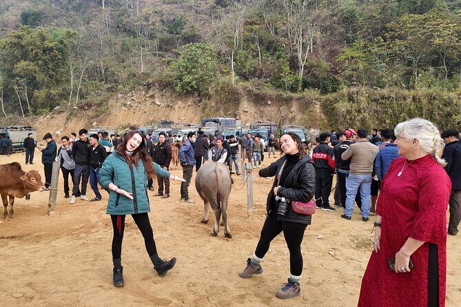 Ha Giang Loop Motorbike Adventure  3 Days from Hanoi - Transportation, Cost, and Overall Value