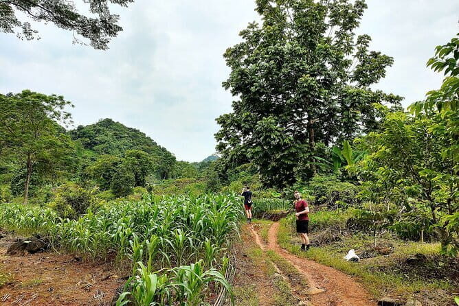 Ha Giang Loop Trekking Full Day Tour - A Deep Dive into the Ha Giang Loop Trekking Full Day Tour