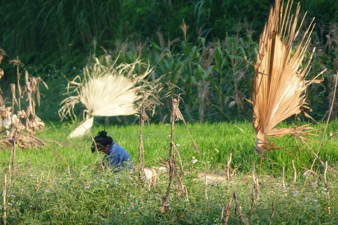 Ha Giang Trekker 2D2N - Exploring Ha Giang on the 2-Day Trekker Tour