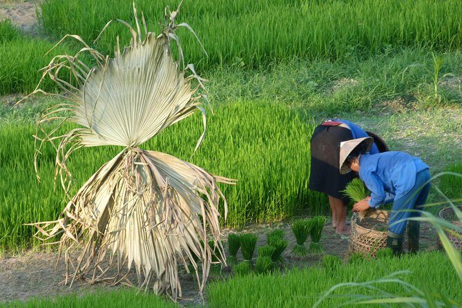 Ha Giang Trekker 2D2N - FAQs