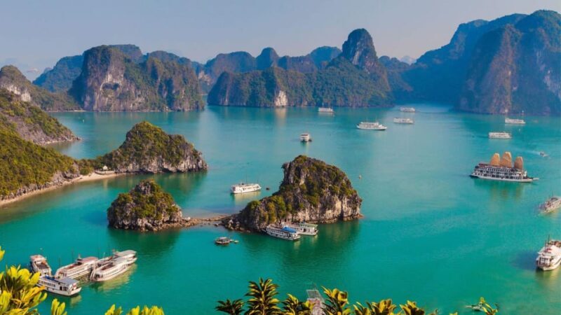 Ha Long 1 Day Luxury Small Group & Kayaking - Authentic Experiences and Practical Details