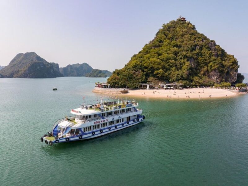 Ha Long: Afternoon Cruise with Lunch, Kayaking, and Swimming - Key Points