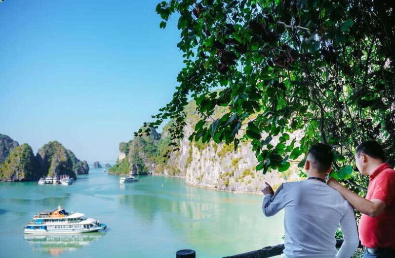 Ha Long Bay Day Trip with Best Price - Final Thoughts: Is This Tour Right for You?