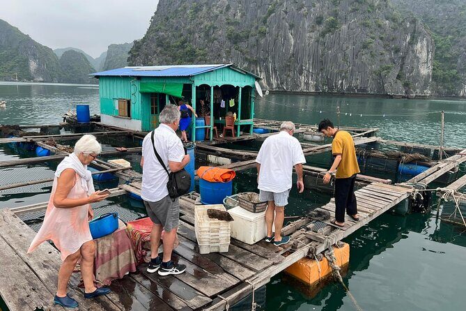 Ha noi: 3D- Halong, Lan ha bay classic cruise, Ninh Binh full day - Transportation, Guides, and Value
