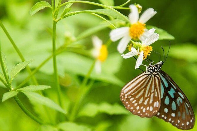 Ha Noi: Full-day Cuc Phuong National Park Eco-adventure - Key Points