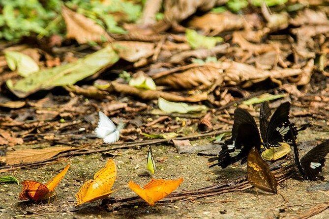 Ha Noi: Full-day Cuc Phuong National Park Eco-adventure - Who Should Book This Tour?