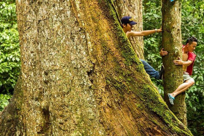 Ha Noi: Full-day Cuc Phuong National Park Eco-adventure - FAQs