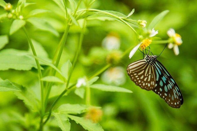 Ha Noi: Full-day Cuc Phuong National Park Eco-adventure - Final Thoughts