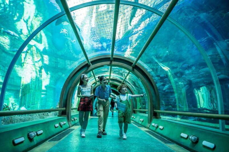Ha Noi: VinKE and Vinpearl Aquarium Entry Ticket - Exploring Hanoi’s Aquarium and VinKE Experience: A Family Adventure in the City’s Heart