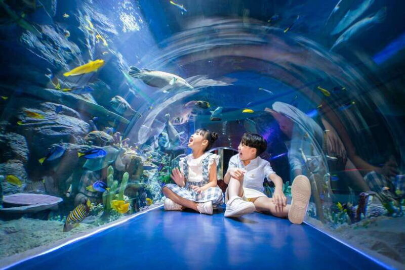 Ha Noi: VinKE and Vinpearl Aquarium Entry Ticket - Who Should Consider Visiting?