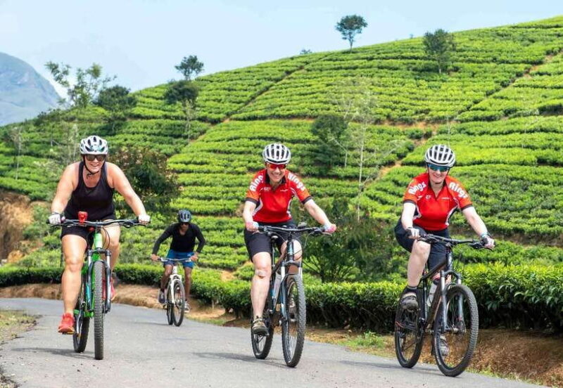 Habarana: Countryside Cycling Tour From Sigiriya, Dambulla - Key Points