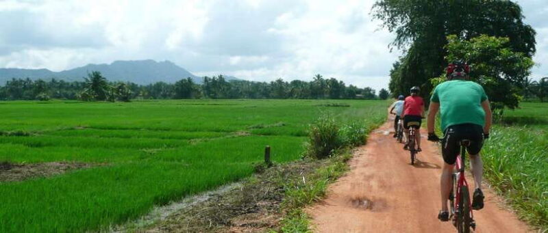 Habarana: Countryside Cycling Tour From Sigiriya, Dambulla - FAQ