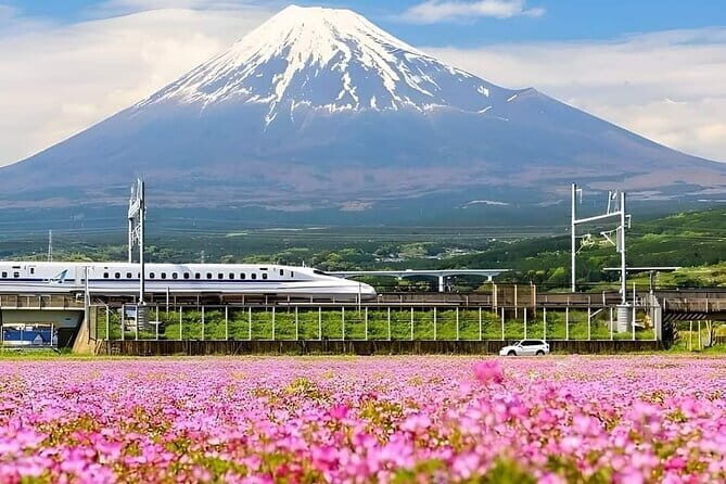 Hachik, Hachi, Tale of a Faithful Dog, Mystery Tour - Who Should Consider This Tour?