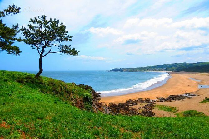 Hachinohe Full-Day Private Trip with Government-Licensed Guide - Key Points