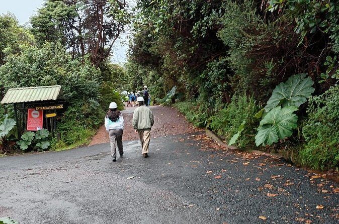 Hacienda Café Doka, Volcán Poas & Jardines de La Catarata La Paz - The Sum Up: Why This Tour is a Solid Choice