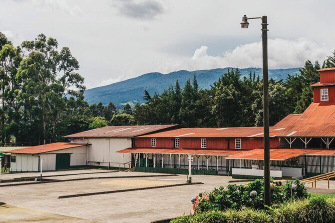 Hacienda Doka Coffee Experience Tour - What Do the Reviews Say?