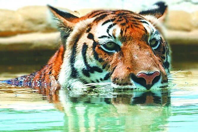 Hacienda Nápoles tour - Key Points