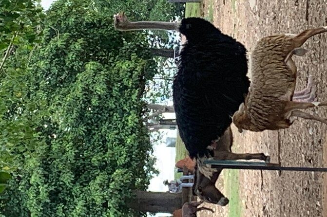 Hacienda Nápoles tour - A Detailed Look at the Hacienda Nápoles Tour