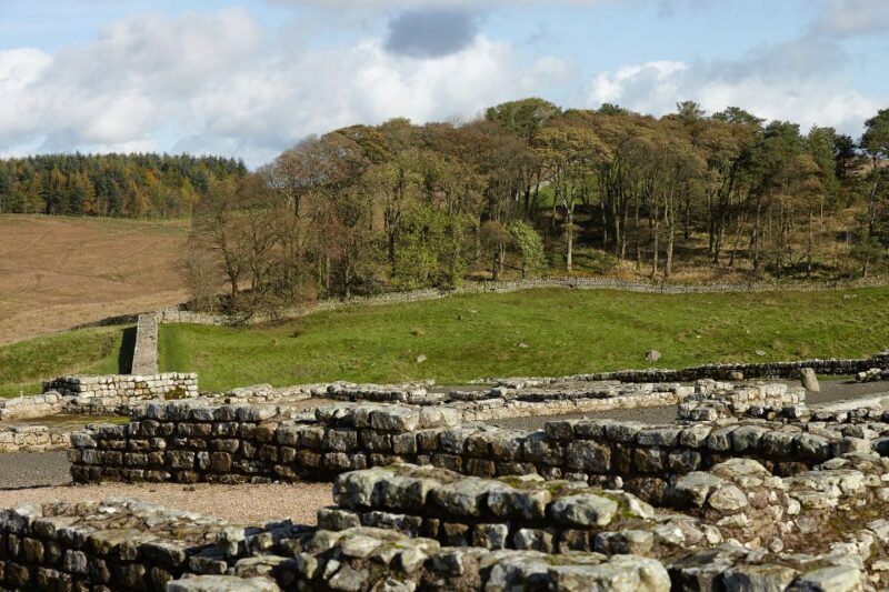 Hadrian's Wall: Housesteads Roman Fort Entry Ticket - A Closer Look at the Experience