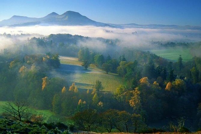 Hadrian's Wall Luxury Private Day Tour with Scottish Local - What the Reviews Tell Us