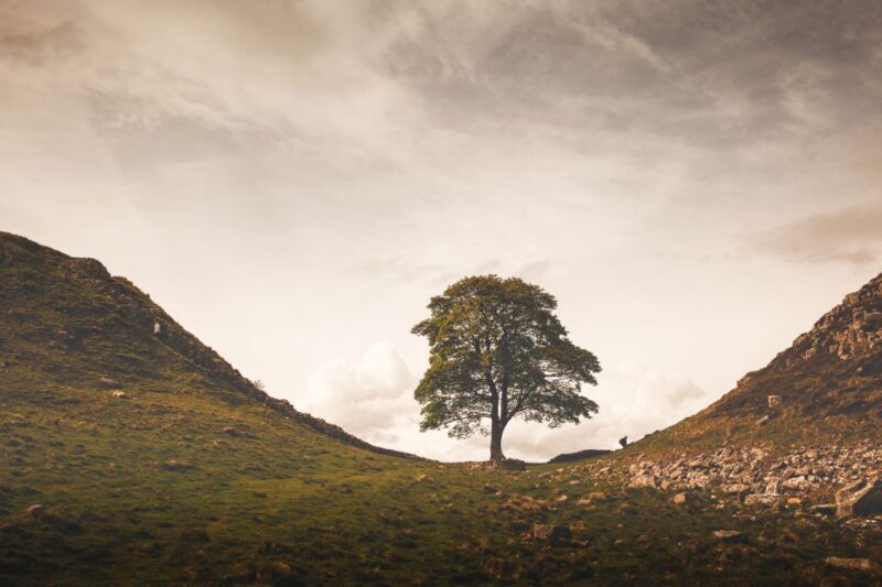 Hadrian's Wall & Roman Britain 1-Day Tour from Edinburgh - FAQ