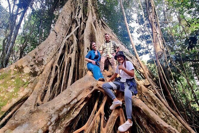Haew Suwat Waterfall-Jungle Hiking to KM 33 Nong Pak Chi - A Deep Dive into the Khao Yai Experience