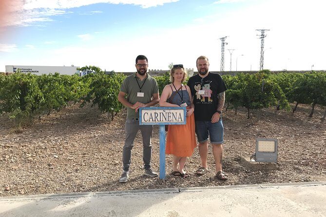 Haft-day Winery tour from Zaragoza - The Details: What You Can Expect from This Wine Tour