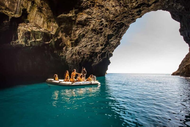 Hahei Explorer Cathedral Cove Boat Tour - A Detailed Look at the Hahei Explorer Cathedral Cove Boat Tour