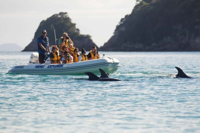 Hahei Explorer Cathedral Cove Boat Tour - FAQ