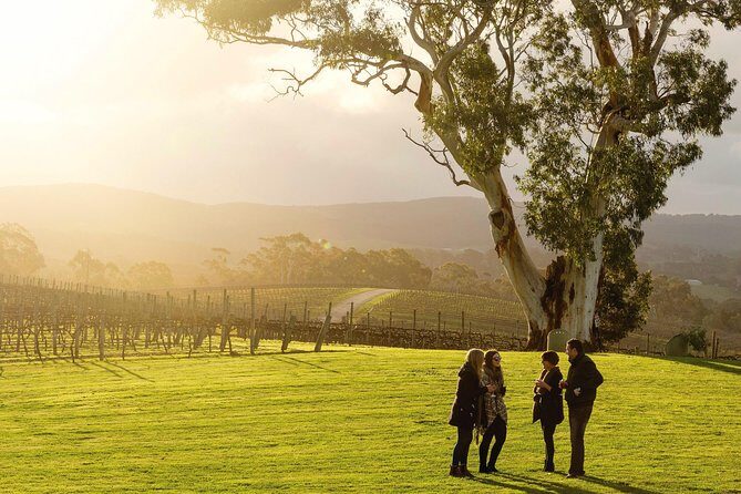 Hahndorf and Adelaide Hills Hop-On Hop-Off Winery Tour from City - Key Points