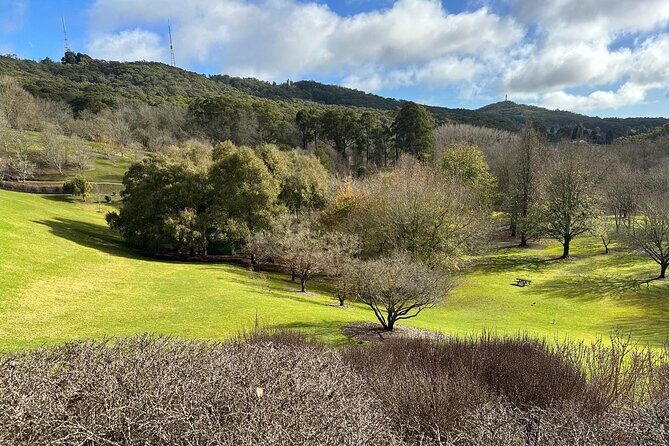 Hahndorf and Hills Wildlife Wonders - Experience the Best of Adelaide’s Hills and Wildlife with Hahndorf & Hills Wildlife Wonders