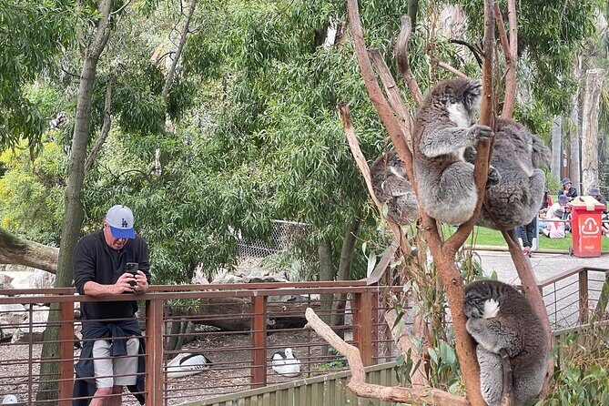 Hahndorf and Hills Wildlife Wonders - FAQ
