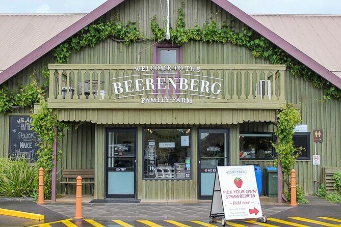 Hahndorf and Hills Wine and/or Gin Tour - In-Depth Review: What Makes This Tour Stand Out