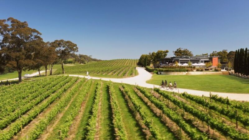 Hahndorf: Gourmet Food & Wine E-Bike Tour - Hahndorf: Gourmet Food & Wine E-Bike Tour