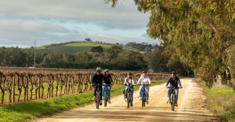Hahndorf: Gourmet Food & Wine E-Bike Tour - Final Thoughts: Who Will Love This Tour?