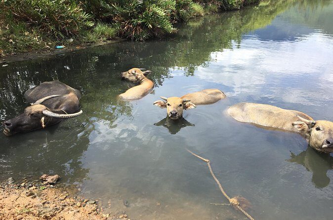 HAI VAN PASS JEEP TOUR - Top Gear Explore by JEEP - A Deep Dive into the Tour