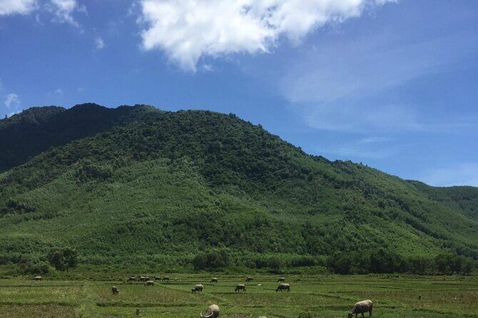 HAI VAN PASS MOTORBIKE TOUR - Top Gear Experience - Frequently Asked Questions