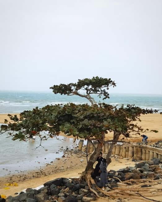 Haikou Nature & Local Life: Volcano, Wetlands & Old Markets - Key Points