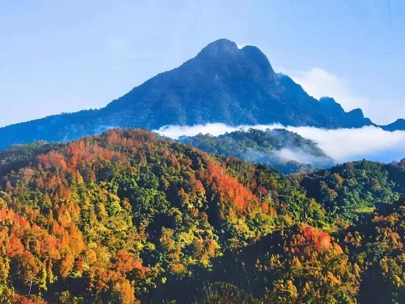 Hainan: A private day trip to Wuzhishan - Exploring Wuzhishan: A Scenic and Cultural Journey