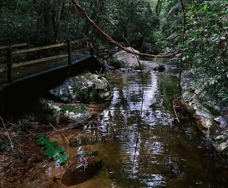 Hainan: A private day trip to Wuzhishan - Practical Details and Tips