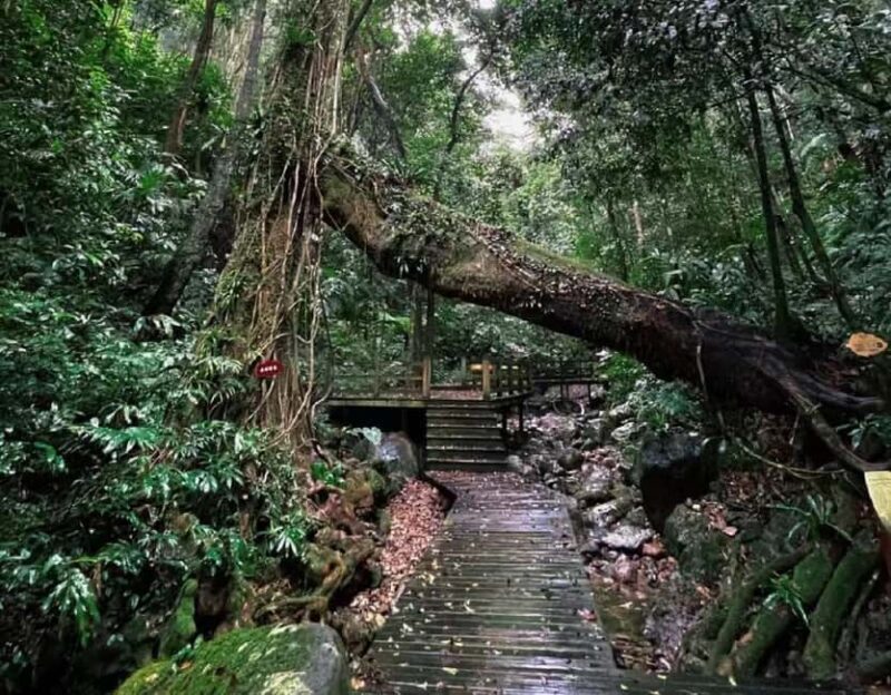 Hainan: A private day trip to Wuzhishan - The Sum Up