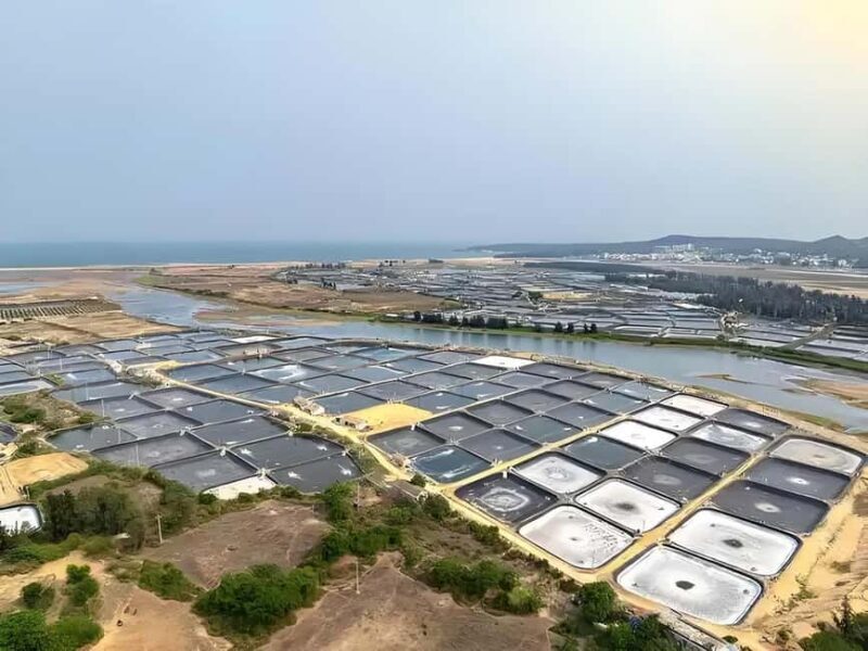 Hainan: Xiantian Village, Junling Temple, & Qizi Bay Tour - Who Is This Tour Best For?