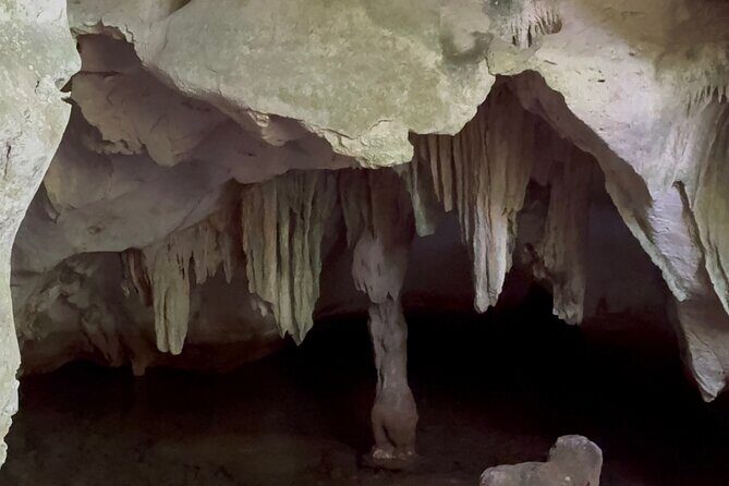 Haitian National Park and fell up - Why This Tour Offers Good Value