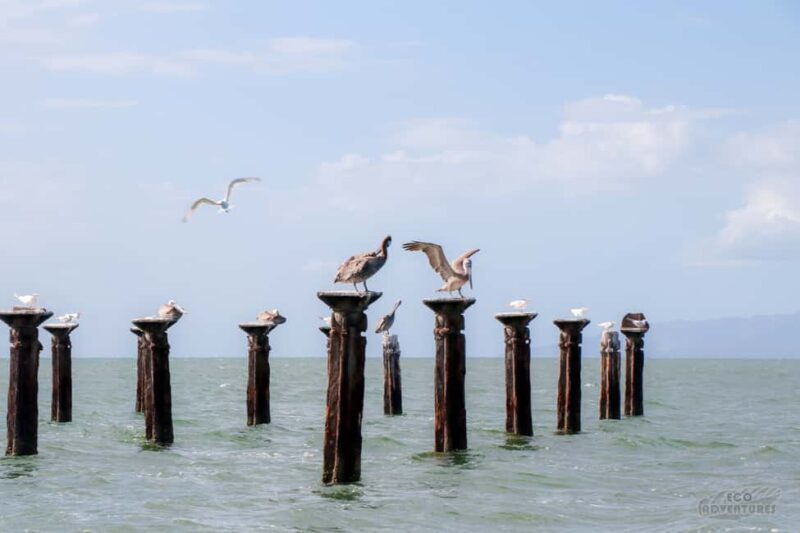 Haitises & Montaña Redonda: Nature's Beauty Tour - Who Is This Tour Best For?