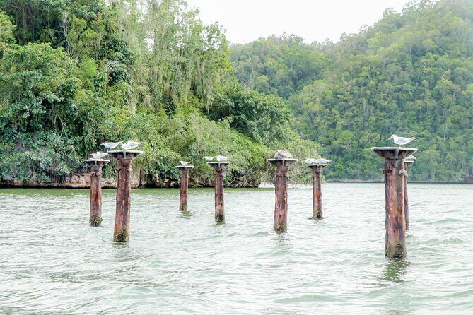 Haitises National Park and Montaña Redonda (Full Day) - Frequently Asked Questions