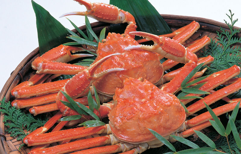 Hakata Kora Honten: A Crab Cuisine Culinary Experience - The room, service and pace