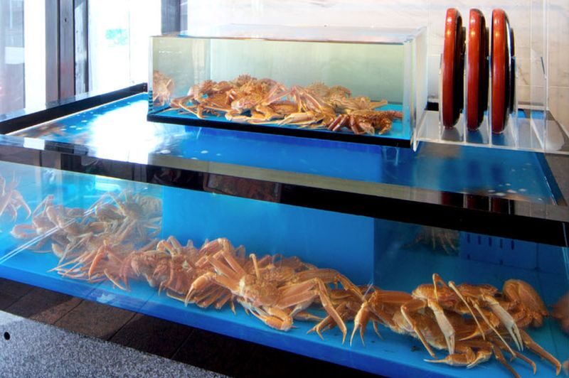 Hakata Kora Honten: A Crab Cuisine Culinary Experience - Is the package good value?