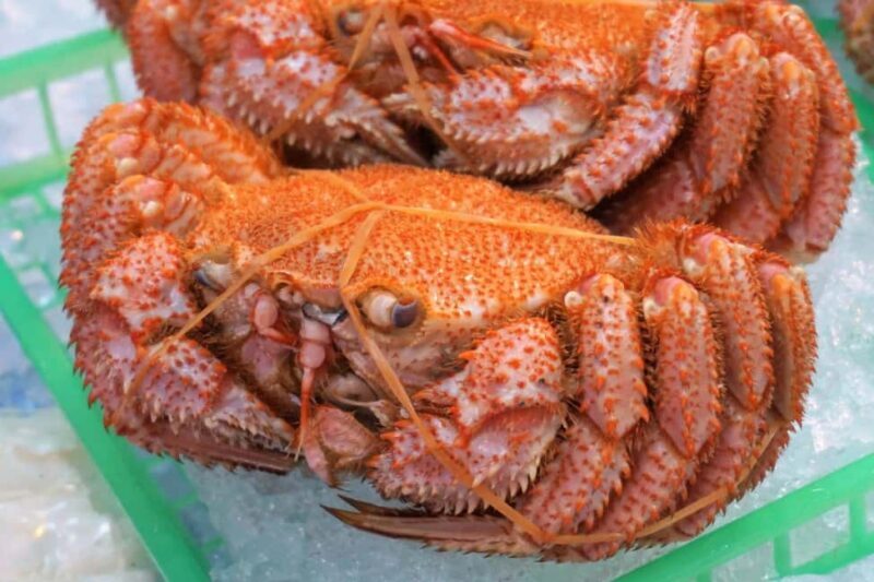 Hakodate: Morning Market Tour with Seafood Tasting Options - Key Points