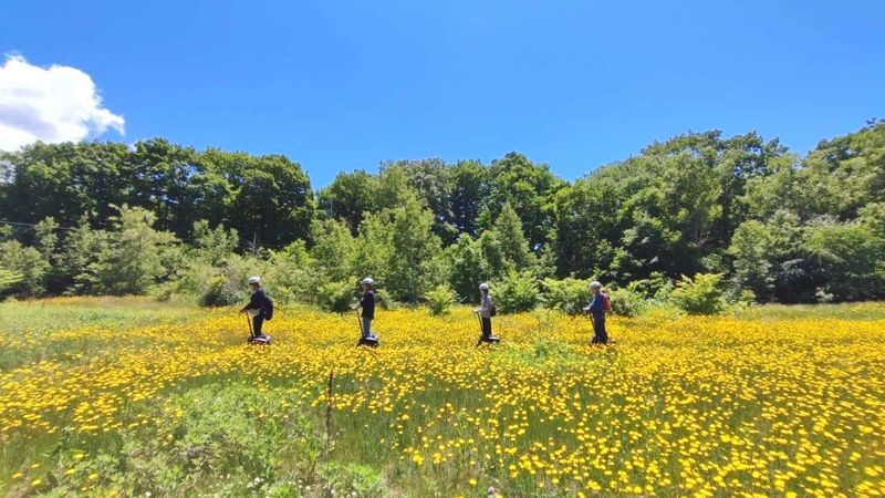 Hakodate-Onuma Segway Adventure with Local Guides - A guided ride with more than scenery